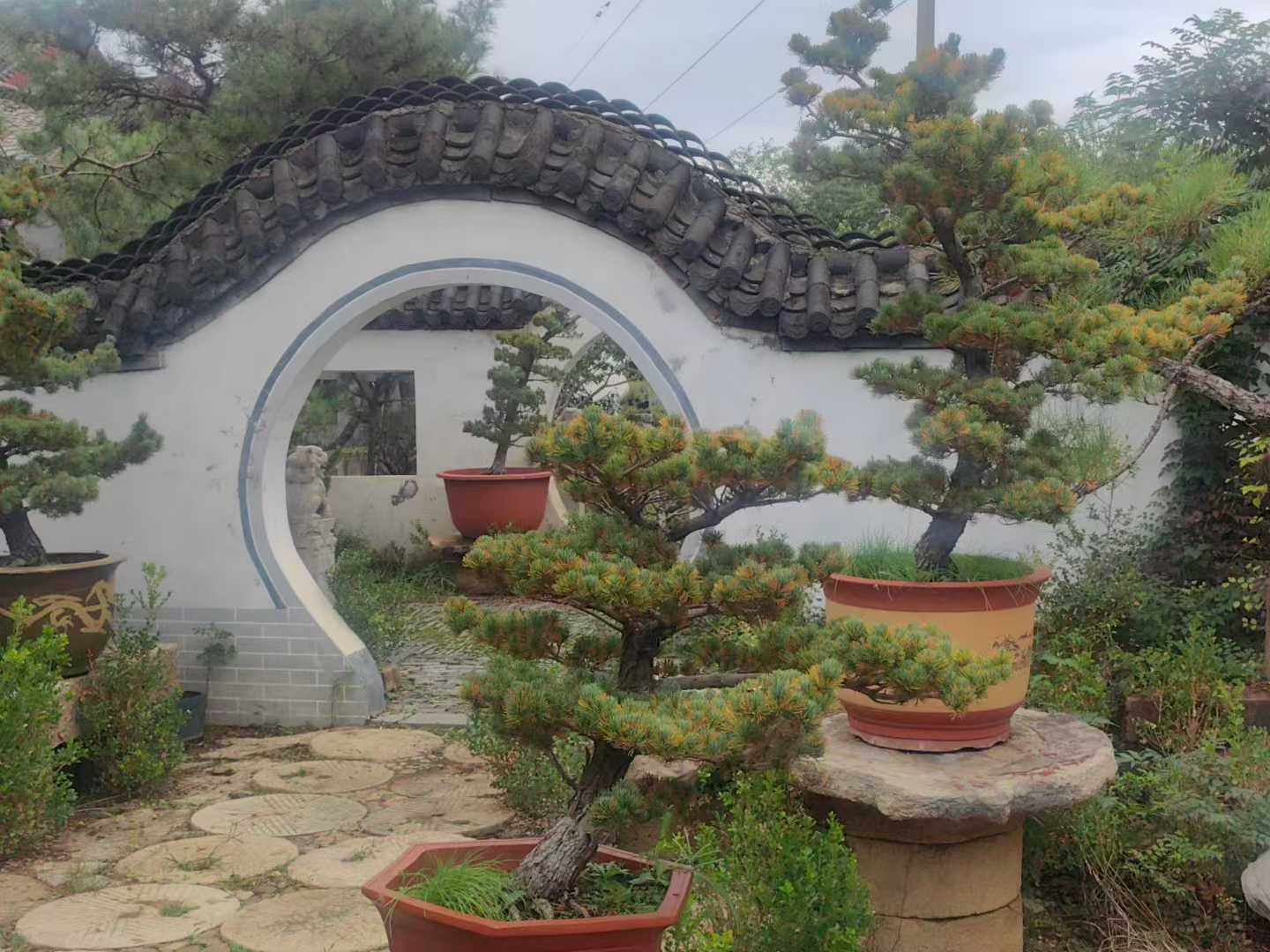 微信图片_2025-10-19_093349_955.jpg