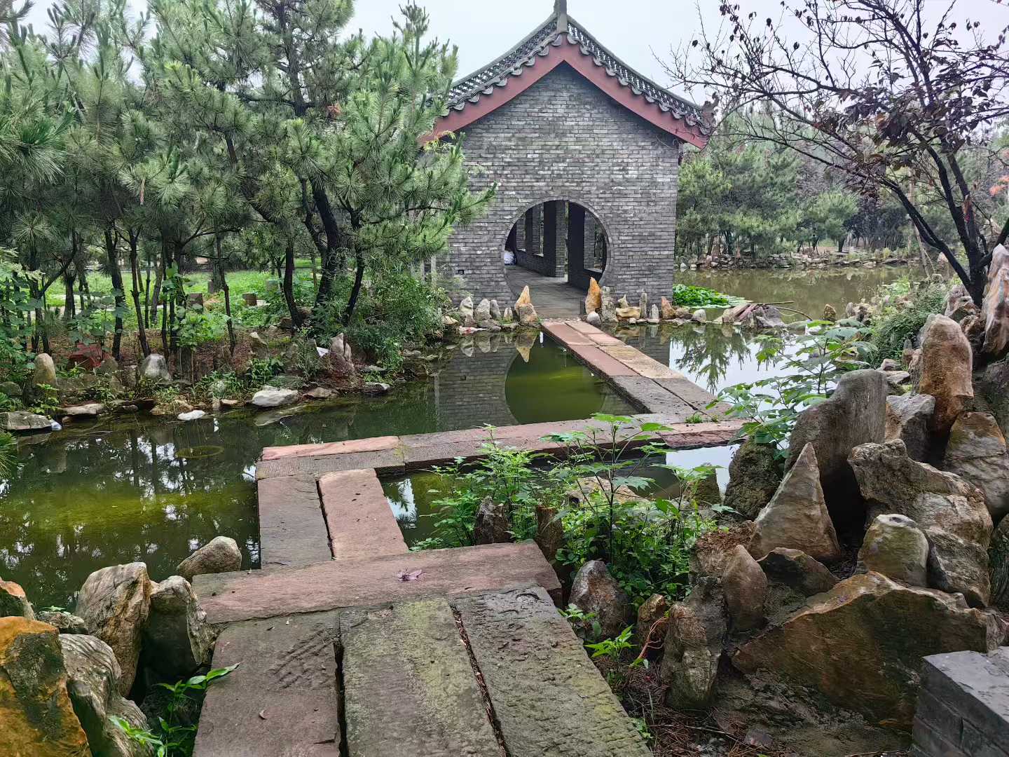 微信图片_2025-10-19_093356_984.jpg