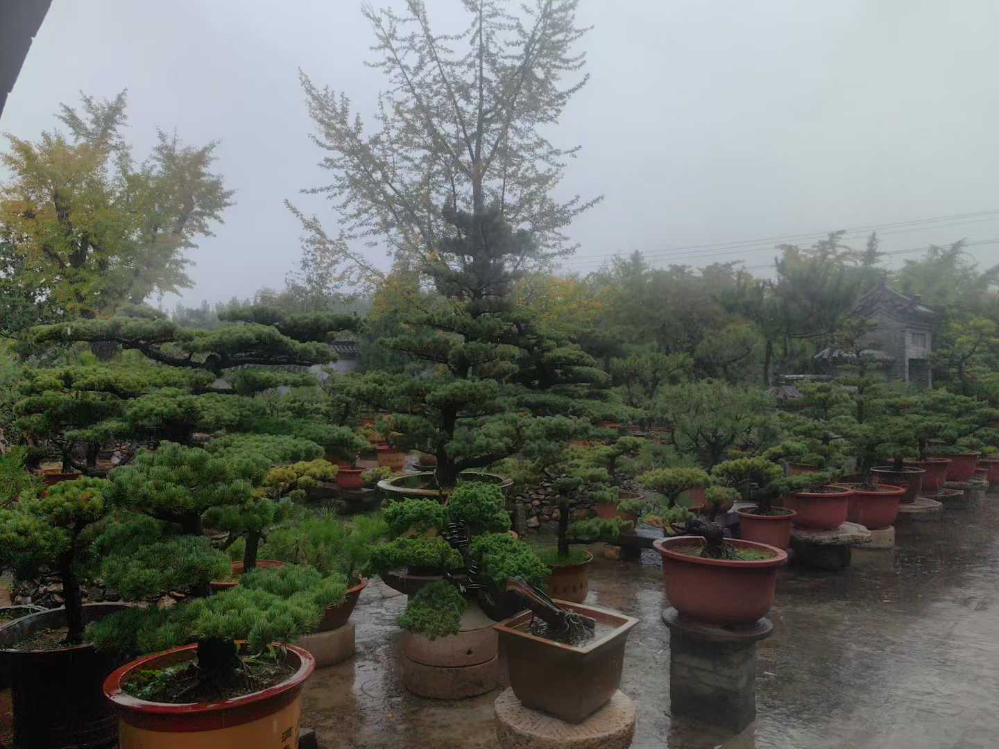微信图片_2025-10-19_093353_711.jpg