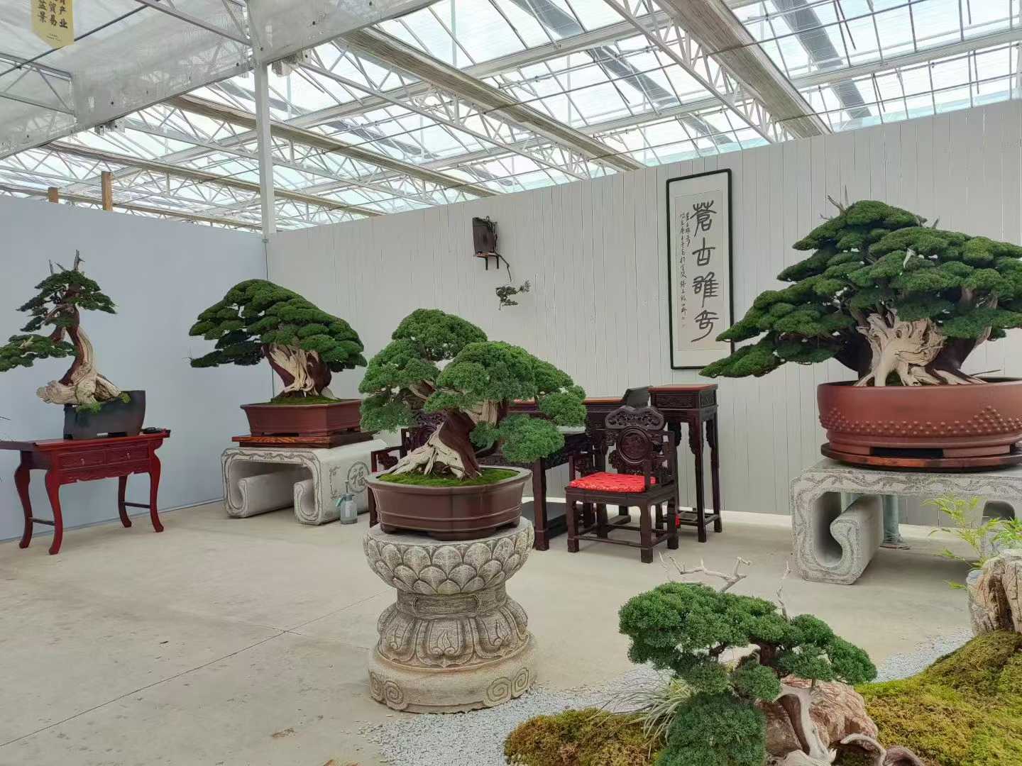 微信图片_2025-10-21_201323_242.jpg
