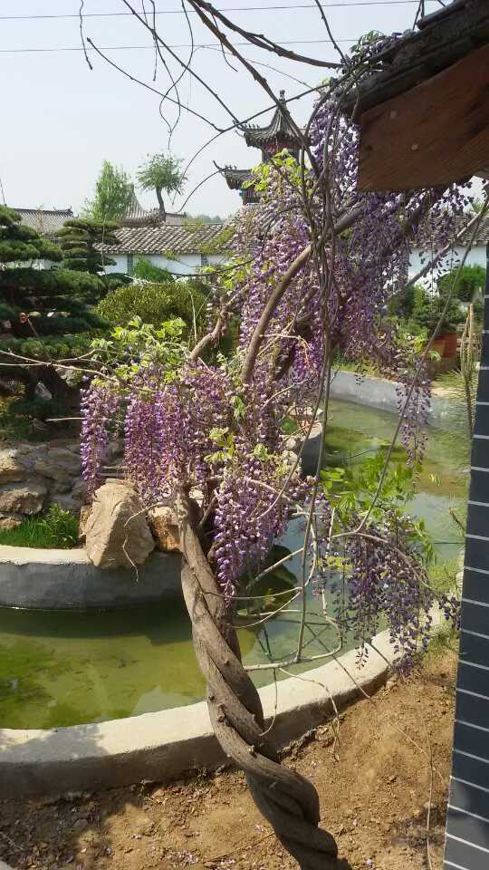 微信图片_2026-03-17_162325_614.jpg