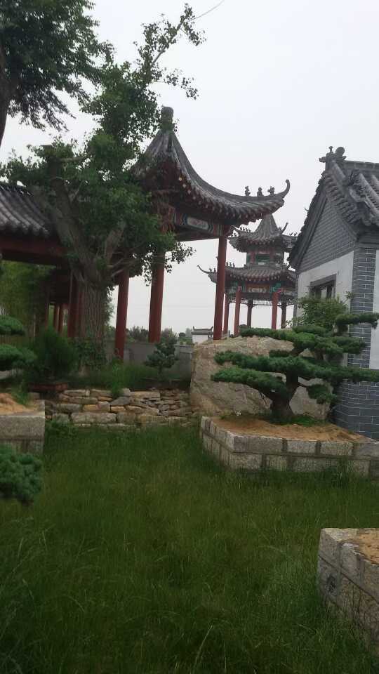微信图片_2026-03-17_162321_946.jpg