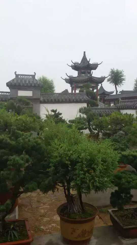 微信图片_2026-03-17_162315_468.jpg