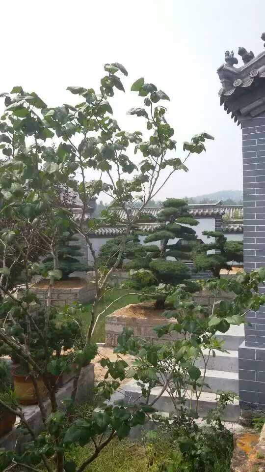 微信图片_2026-03-17_162318_381.jpg